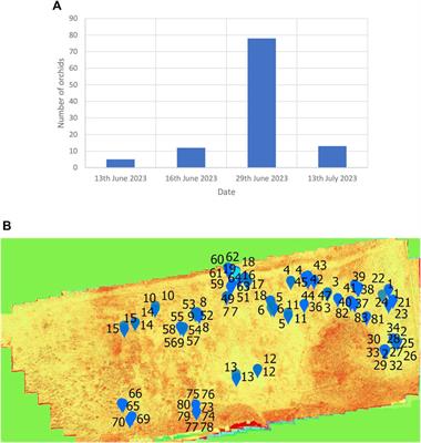 Use of remote sensing and image processing for identification of wild orchids